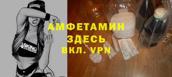 индика Богородицк