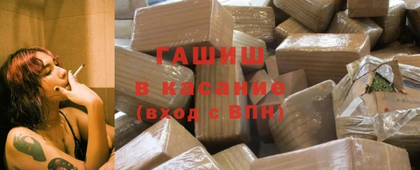 индика Богородицк