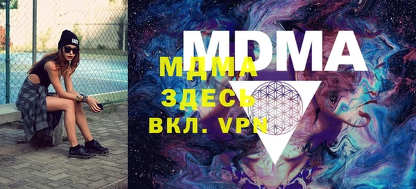 индика Богородицк