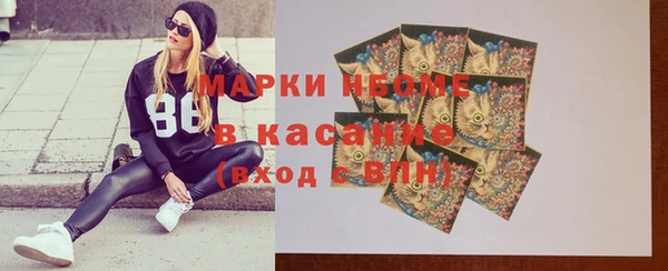 молекула духа Богданович