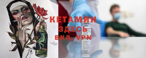 индика Богородицк