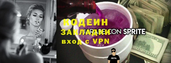 индика Богородицк