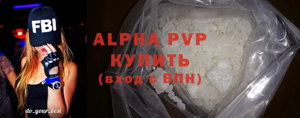 молекула духа Богданович