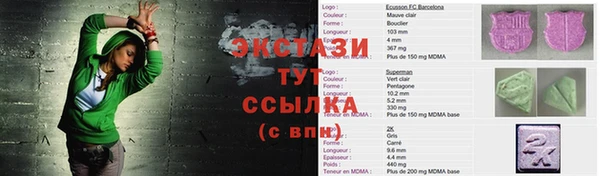 индика Богородицк