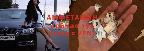 молекула духа Богданович