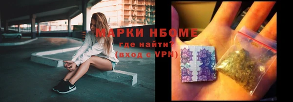 индика Богородицк