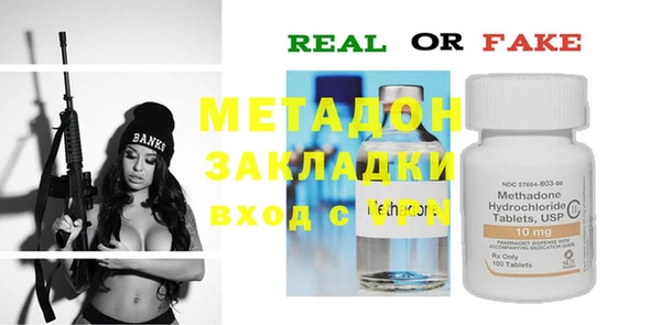 молекула духа Богданович