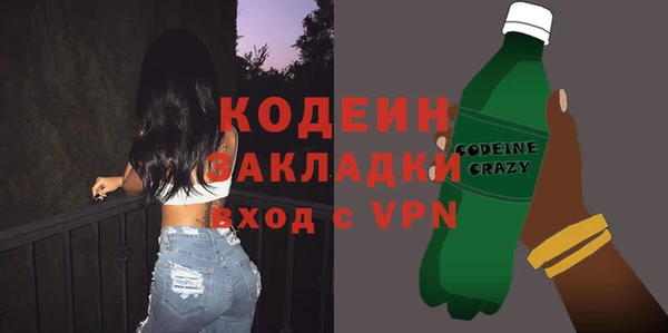 индика Богородицк
