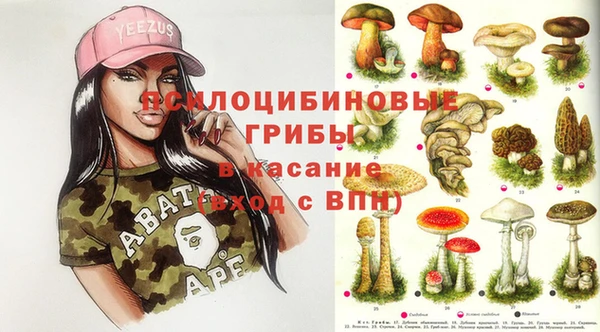 индика Богородицк
