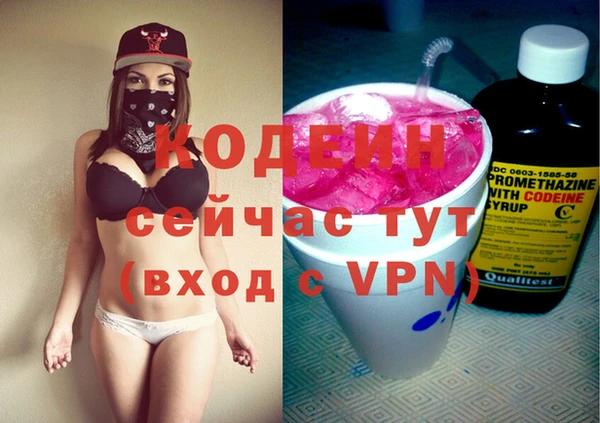 молекула духа Богданович