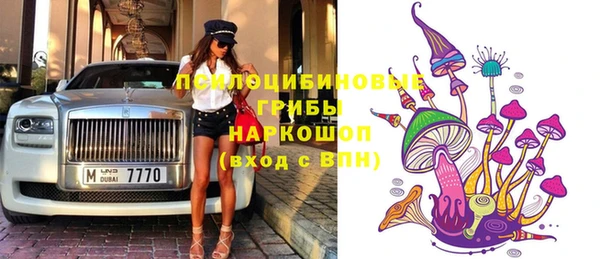 молекула духа Каменка