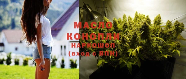 индика Богородицк