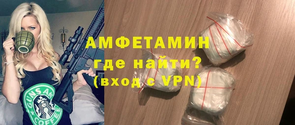 молекула духа Богданович