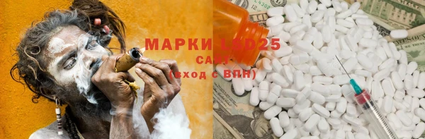 индика Богородицк