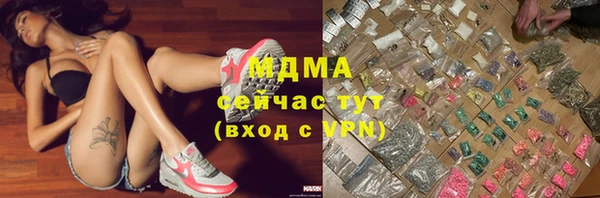 молекула духа Богданович