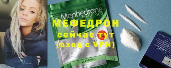 молекула духа Богданович