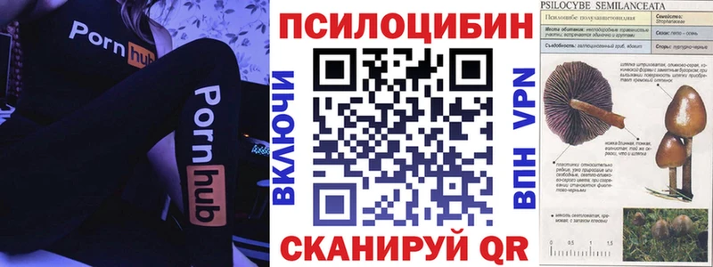Галлюциногенные грибы GOLDEN TEACHER  Киренск 